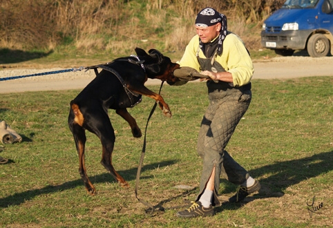 Training in Prague 3/2007